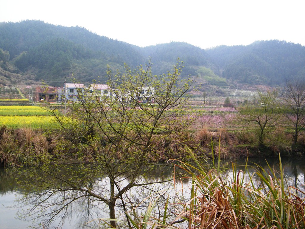 DSCF0108.JPG