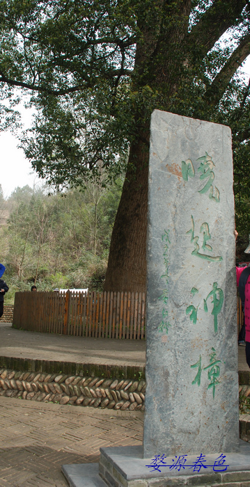 DSC_7119.jpg