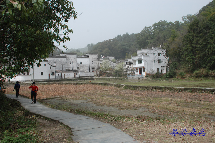 DSC_7134.jpg