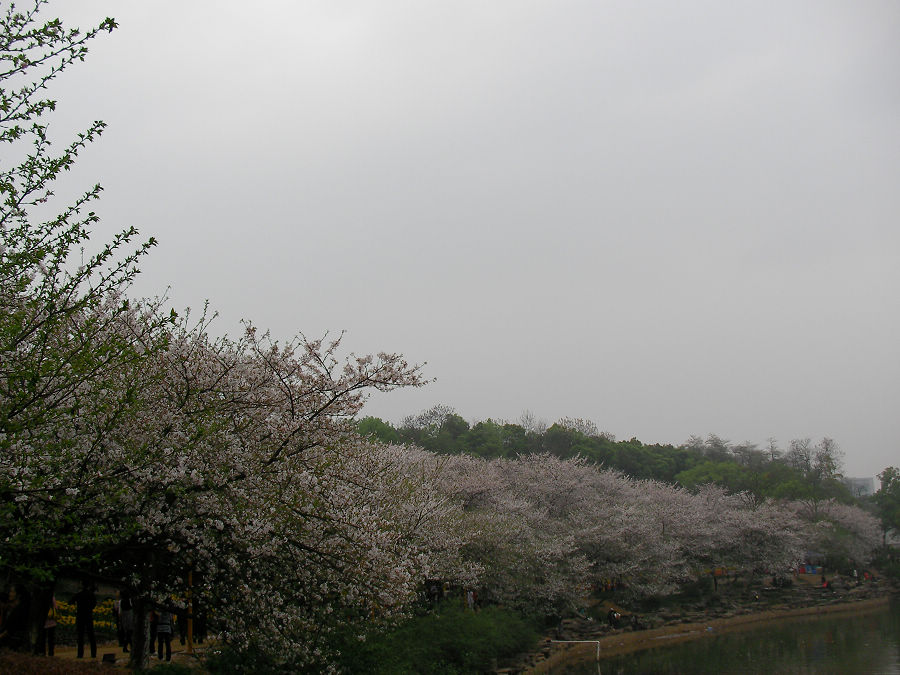 nEO_IMG_SANY1679.jpg