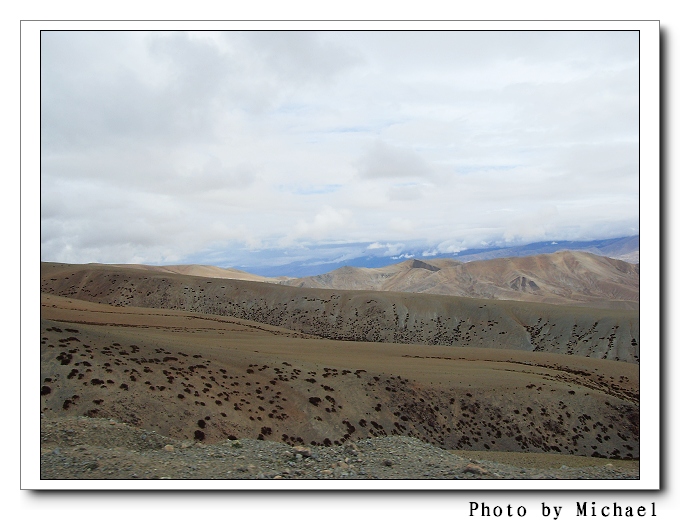 SDC10564.jpg