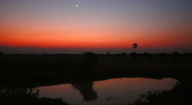 IMG_8216.JPG