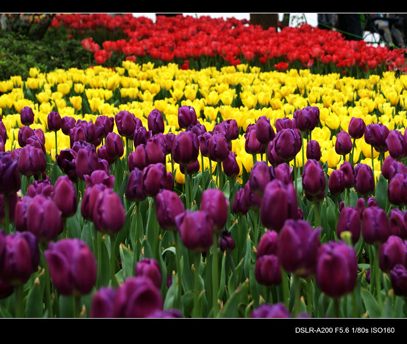 DSC00149.jpg