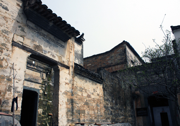 IMG_4763.JPG