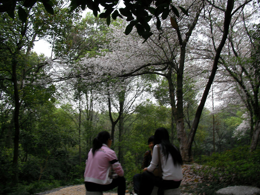 nEO_IMG_SANY1574.jpg