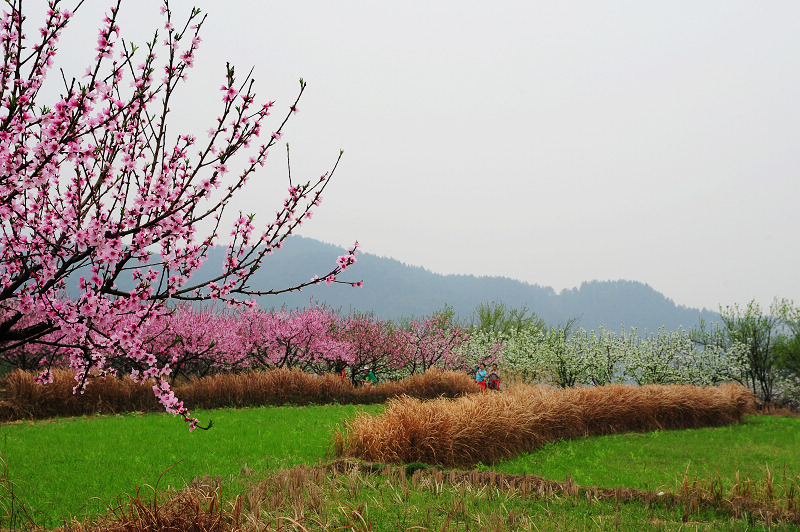 DSC_9742.jpg