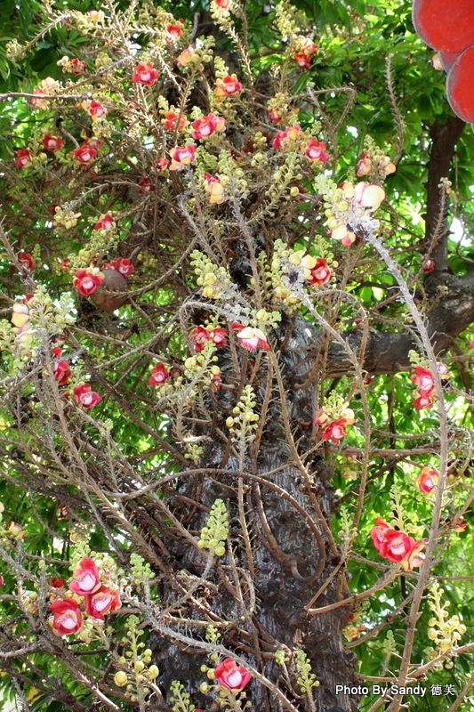 IMG_7944.JPG