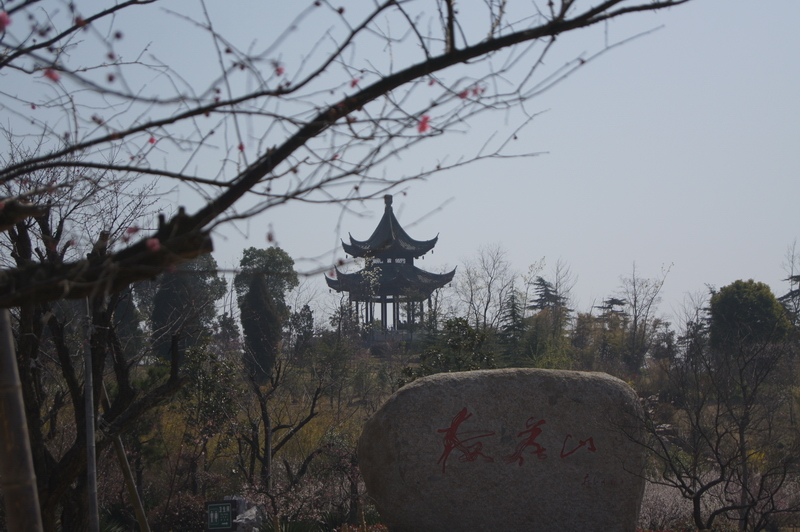 DSC01903_��С��С.JPG