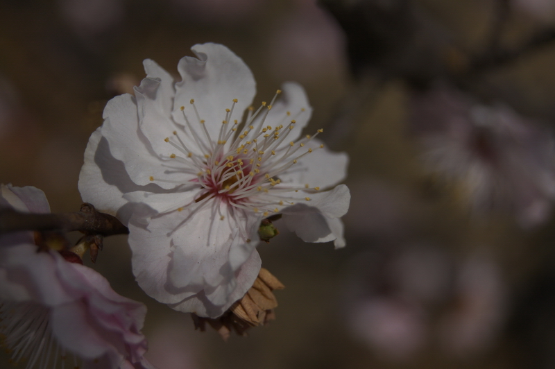 DSC01901_��С��С.JPG