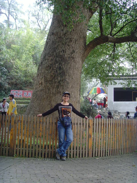 SNV32501.JPG