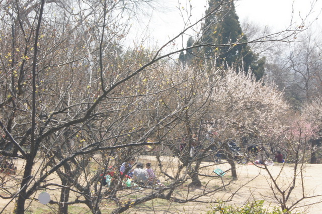 DSC01964_��С��С_��С��С.JPG