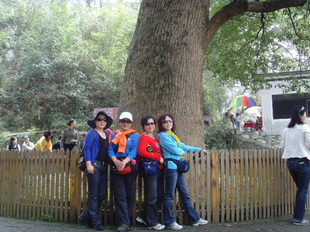 SNV32506.JPG