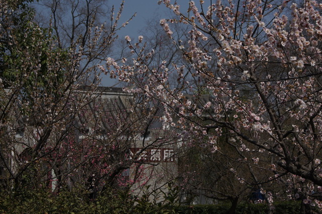 DSC02024_��С��С_��С��С.JPG