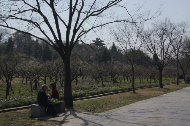 DSC02042_��С��С_��С��С.JPG