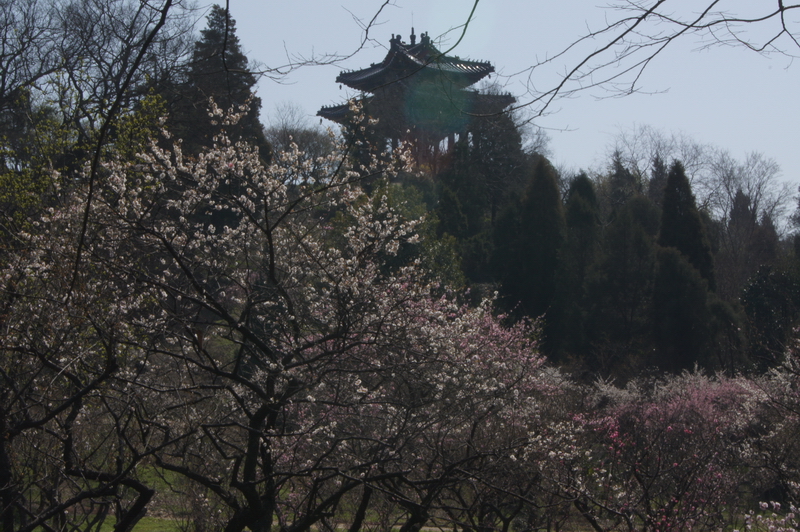 DSC02045_��С��С.JPG