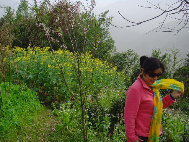 SNV32498.JPG