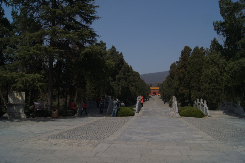 DSC02036_��С��С.JPG