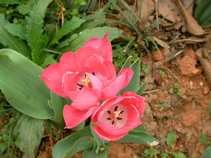 nEO_IMG_SANY1580.jpg