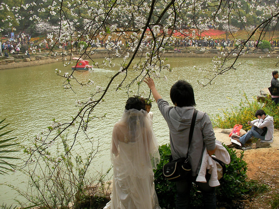 nEO_IMG_SANY1485.jpg