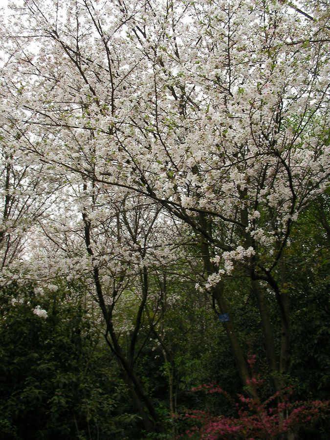 nEO_IMG_SANY1556.jpg