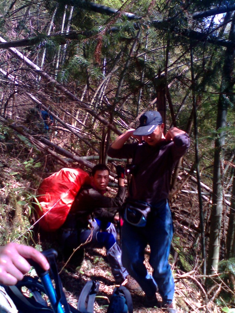 IMG0377A.jpg