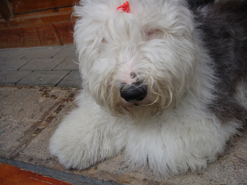 09����֮�� (1687).jpg