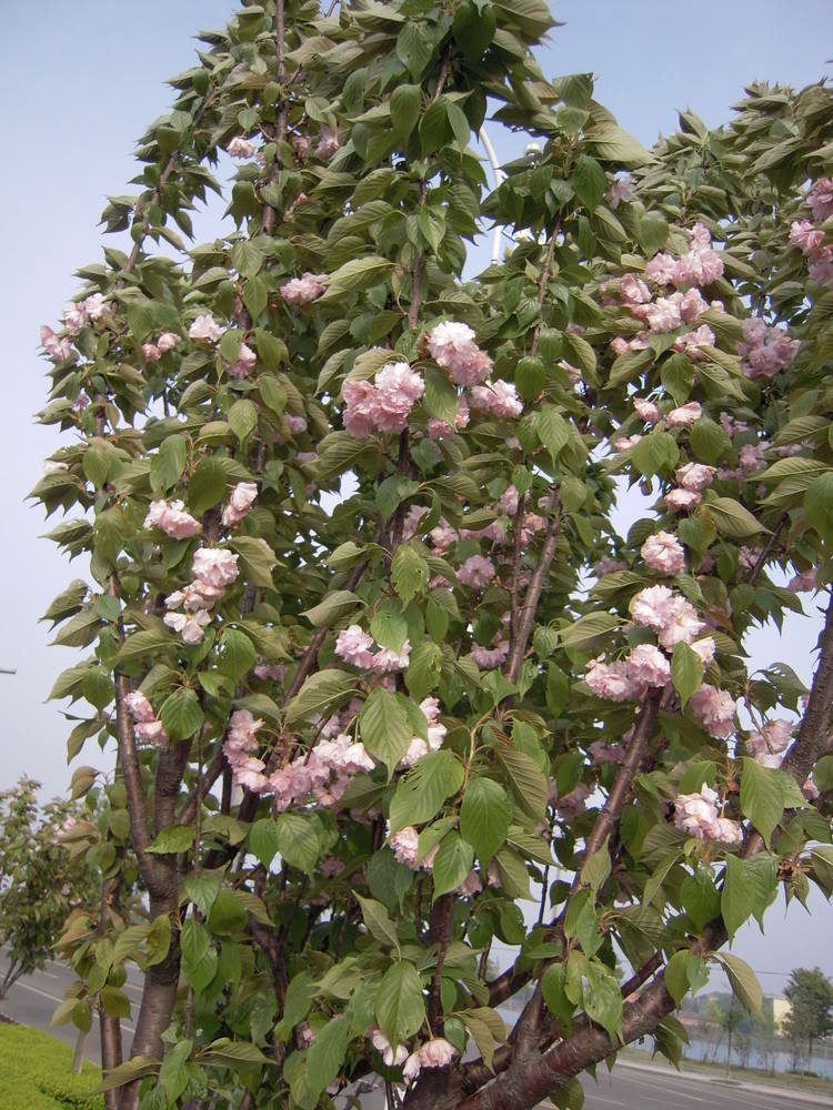 DSCN3173.jpg