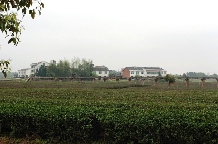 nEO_IMG_DSC_0209.jpg