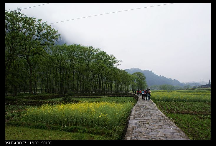 nEO_IMG_DSC09884.jpg