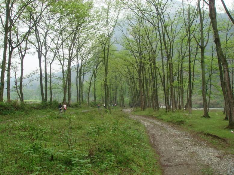 DSC03922.JPG