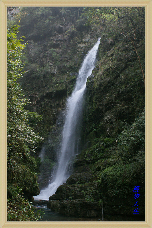 DSC02018.jpg
