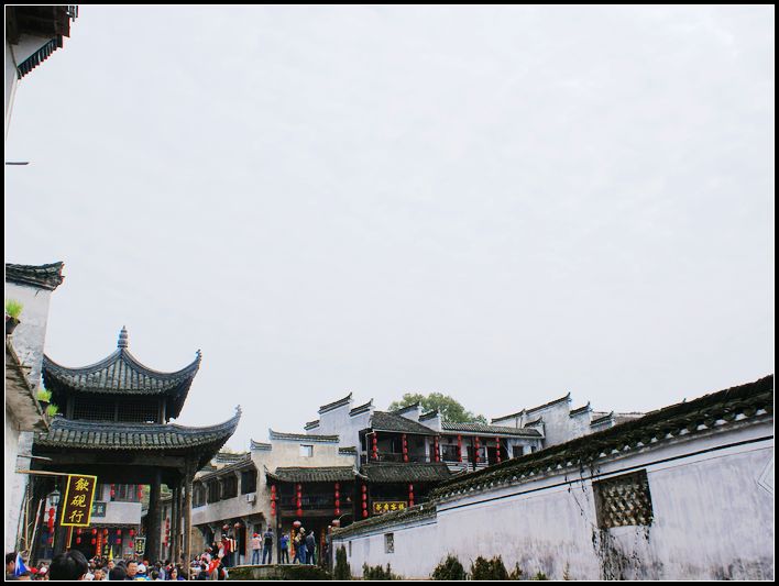 DSC09682.jpg