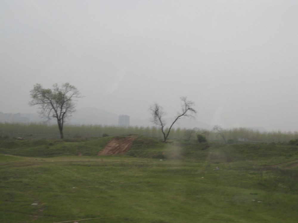 IMG_0861.jpg