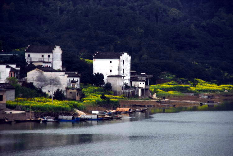 DSC_4664_��С��С.jpg