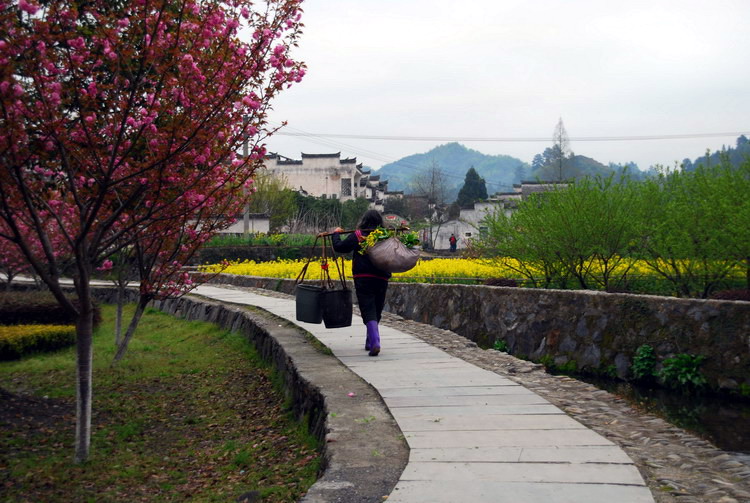DSC_4720_��С��С.jpg