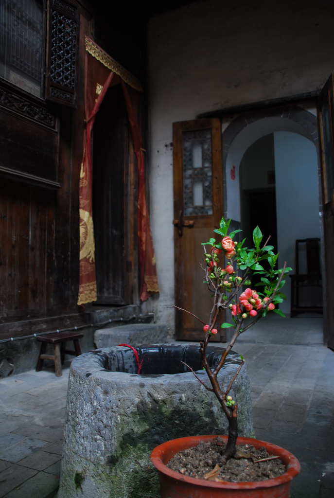 DSC_4794_��С��С.JPG