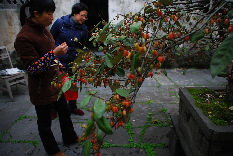 DSC_4814_��С��С.JPG