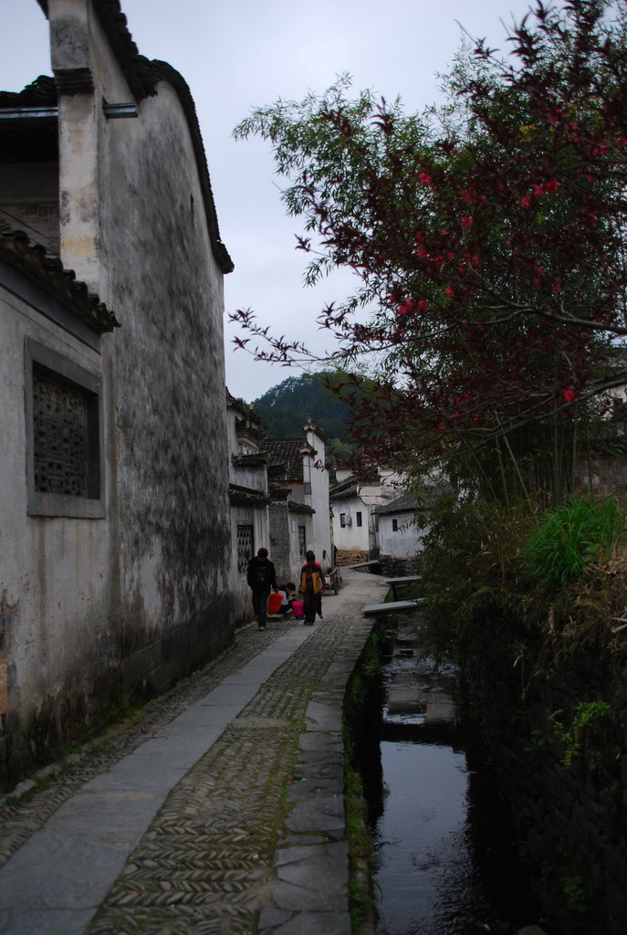 DSC_4820_��С��С.JPG