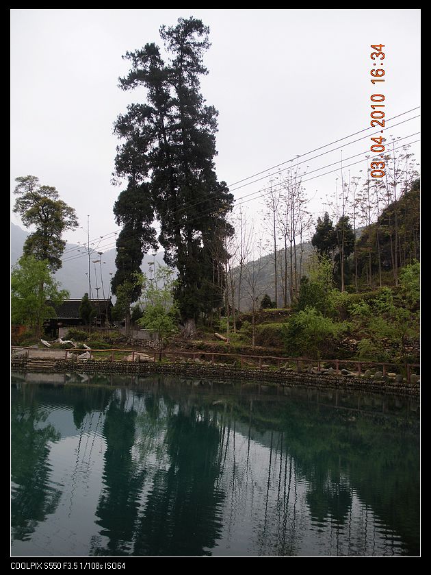 DSCN8328.jpg