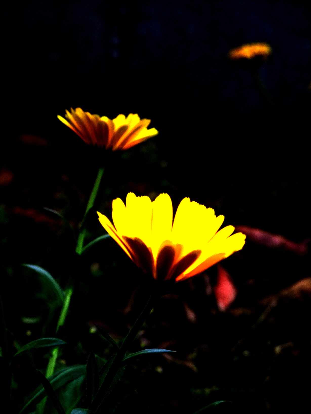 ��5(001).jpg