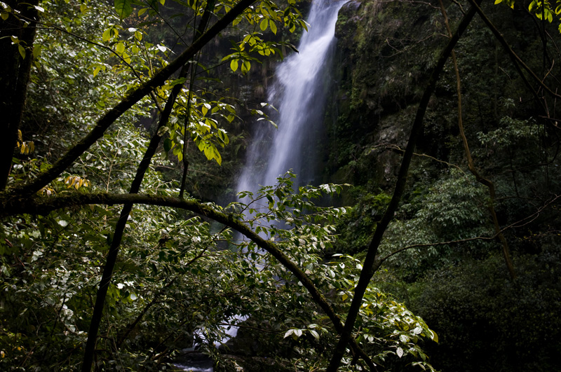 DSC_6627-1.jpg