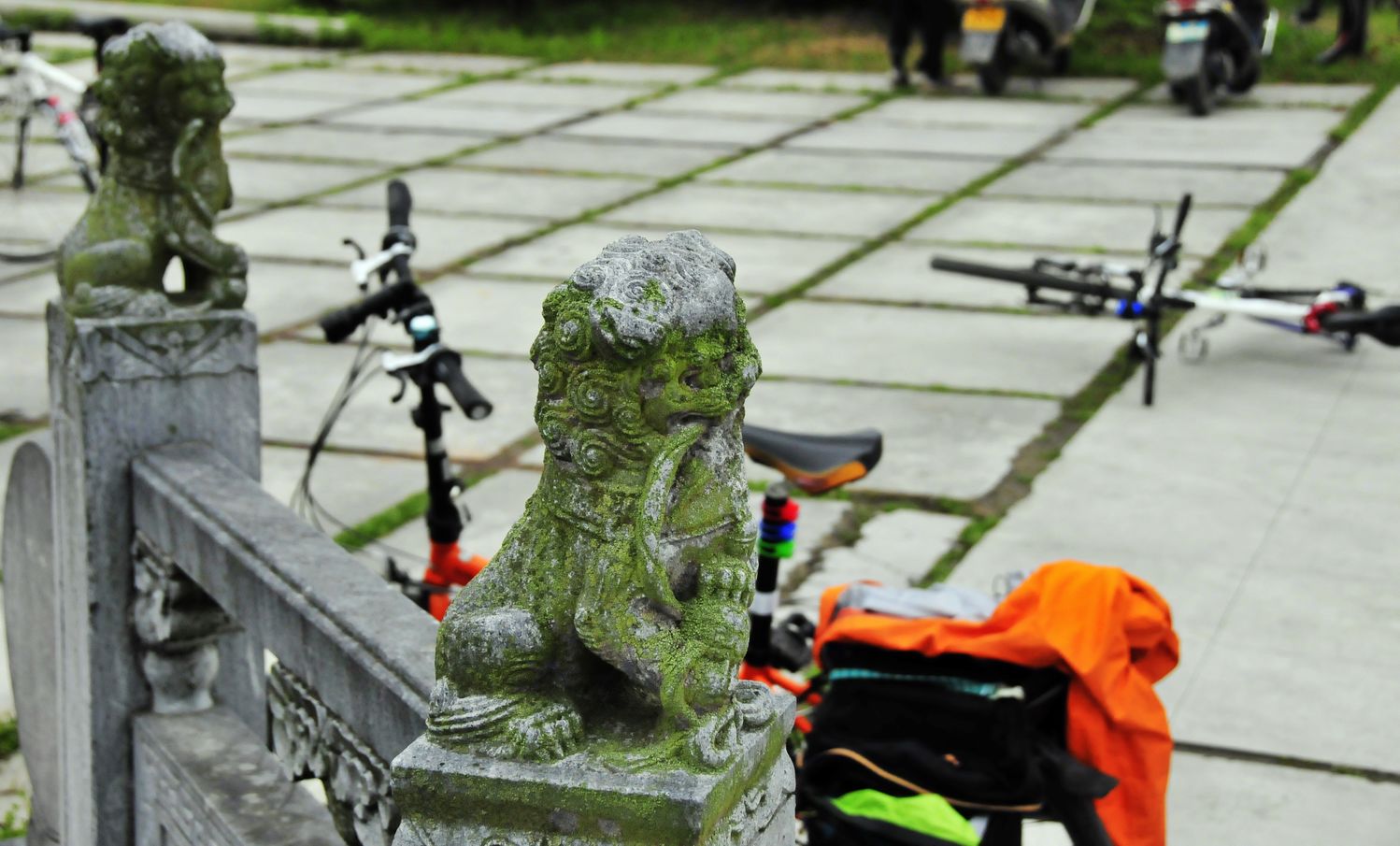 _DSC0044.jpg