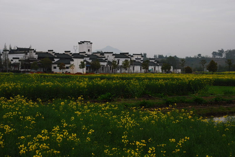 DSC_4322_��С��С.jpg