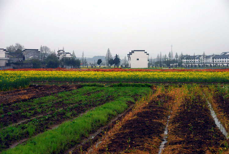 DSC_4333_��С��С.jpg