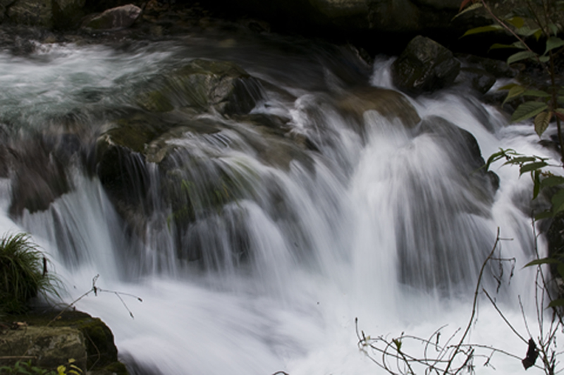 DSC_6598-1.jpg