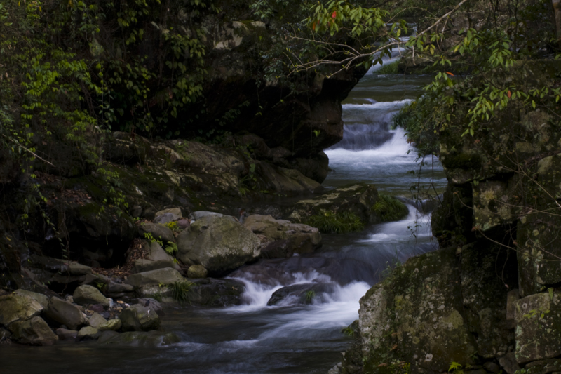 DSC_6589-1.jpg