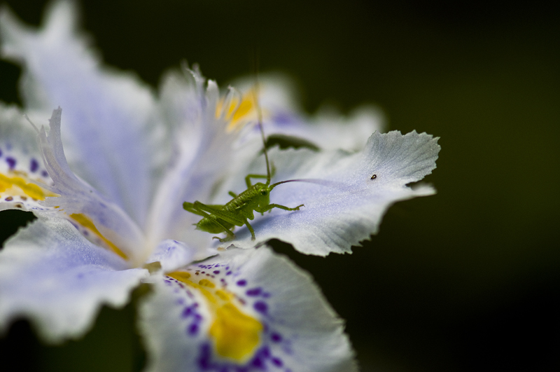 DSC_6707-1.jpg
