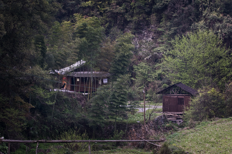 DSC_6615-1.jpg
