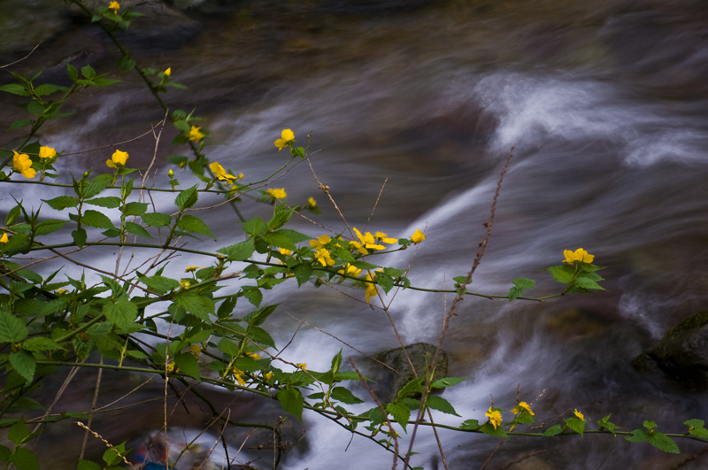 DSC_6124-1.jpg