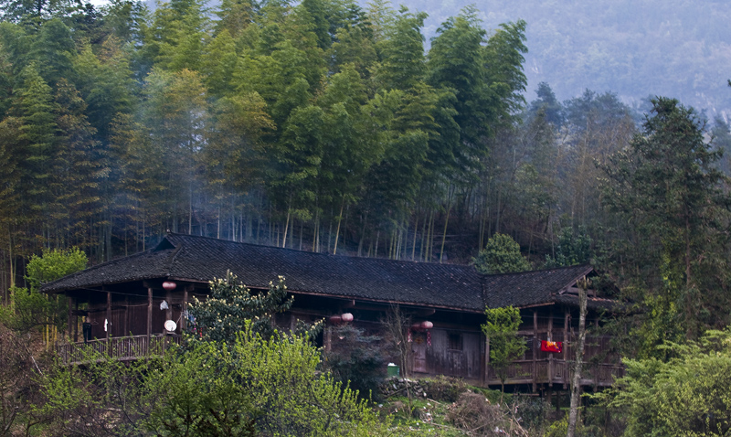 DSC_6188-1.jpg